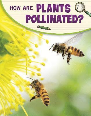 How Are Plants Pollinated? 1