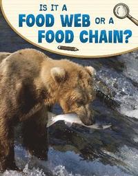 bokomslag Is It a Food Web or a Food Chain?