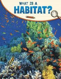 bokomslag What Is a Habitat?
