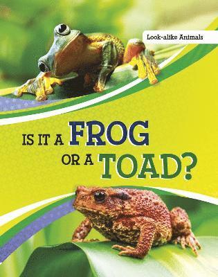 Is It a Frog or a Toad? 1