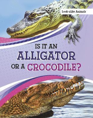 Is It an Alligator or a Crocodile? 1