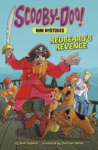 bokomslag Redbeard's Revenge