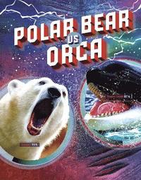 bokomslag Polar Bear vs Orca