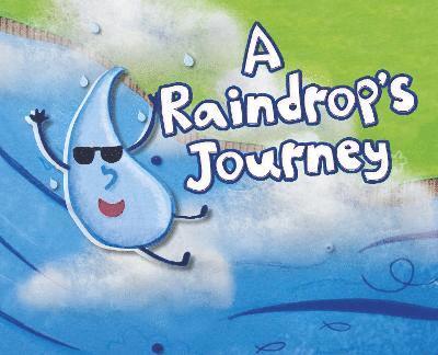 A Raindrop's Journey 1