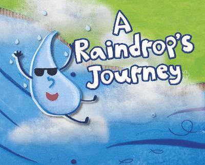 Raindrop's Journey