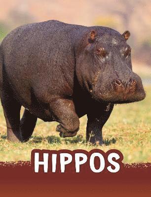 Jaclyn Jaycox - Hippos, Häftad
