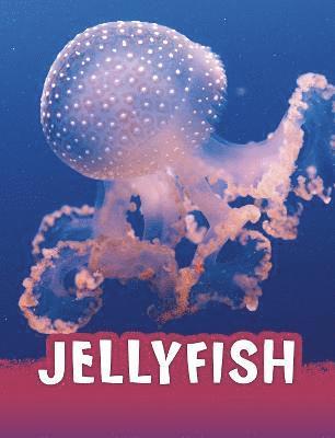 Jaclyn Jaycox - Jellyfish, Inbunden