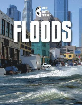 Rachel Werner - Floods, Häftad