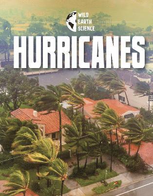 Golriz Golkar - Hurricanes, Häftad