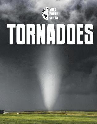 bokomslag Tornadoes