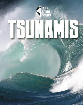 bokomslag Tsunamis