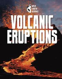 bokomslag Volcanic Eruptions