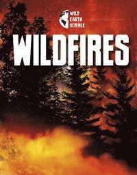 bokomslag Wildfires