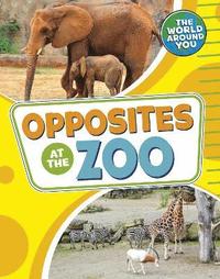 bokomslag Opposites at the Zoo