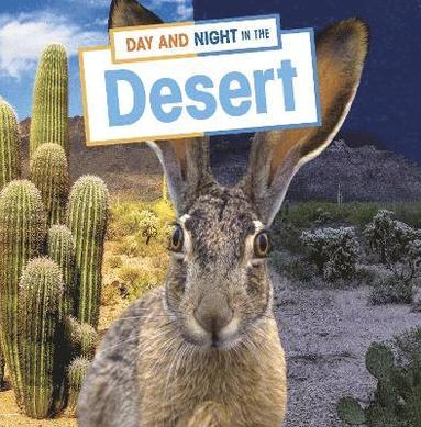 bokomslag Day and Night in the Desert