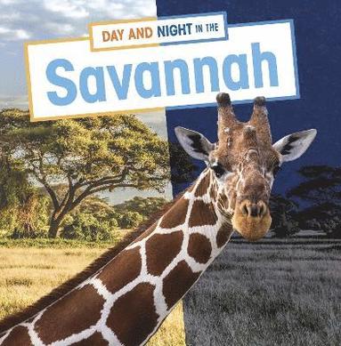 bokomslag Day and Night in the Savannah