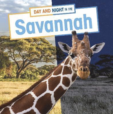 Day and Night in the Savannah 1