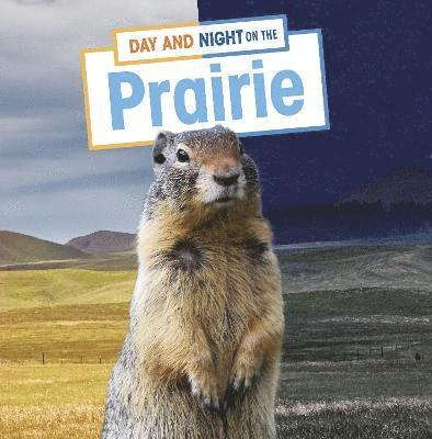 Day and Night on the Prairie 1