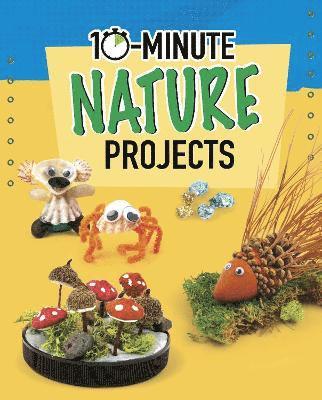 10-Minute Nature Projects 1
