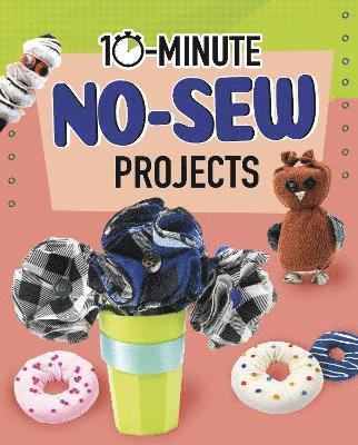 10-Minute No-Sew Projects 1