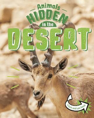 Animals Hidden in the Desert 1