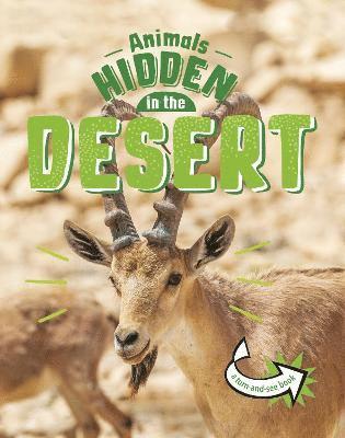 Animals Hidden in the Desert 1