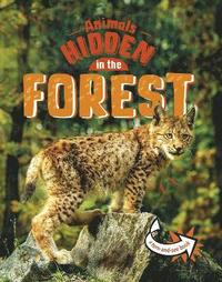 bokomslag Animals Hidden in the Forest