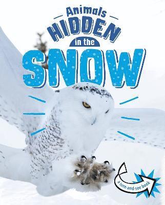 Animals Hidden in the Snow 1