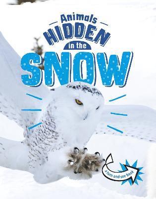 Animals Hidden in the Snow 1