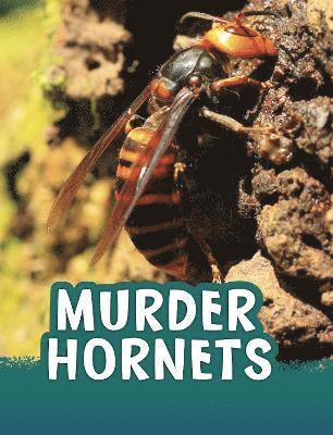 Jaclyn Jaycox - Murder Hornets, Häftad