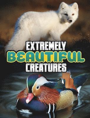 Extremely Beautiful Creatures 1