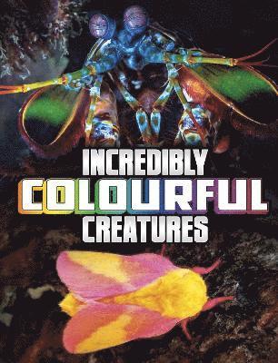 bokomslag Incredibly Colourful Creatures