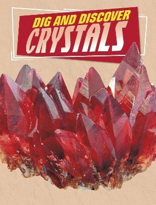 Anita Nahta Amin - Dig and Discover Crystals, Häftad