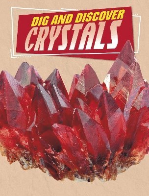 Dig and Discover Crystals 1