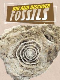 bokomslag Dig and Discover Fossils