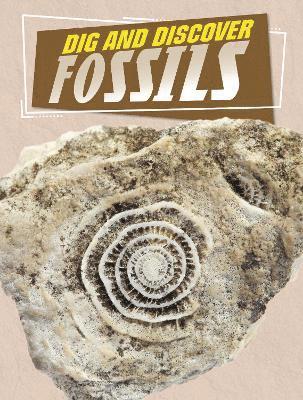 bokomslag Dig and Discover Fossils