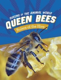 bokomslag Queen Bees