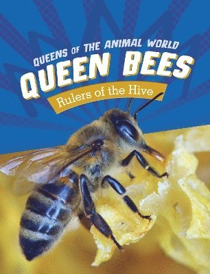 Queen Bees 1