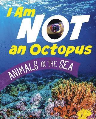 I Am Not an Octopus 1