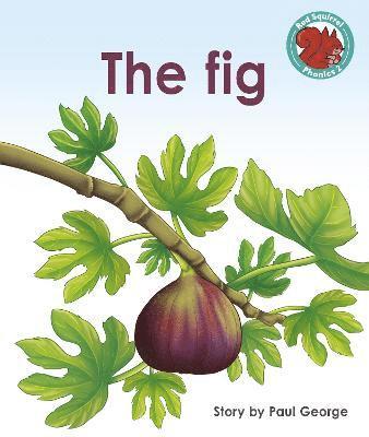 bokomslag The Fig