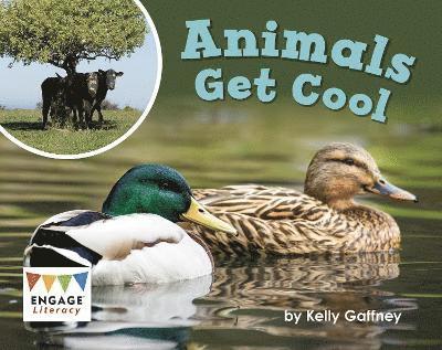 Kelly Gaffney - Animals Get Cool, Häftad