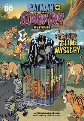 bokomslag Frenzied Feline Mystery
