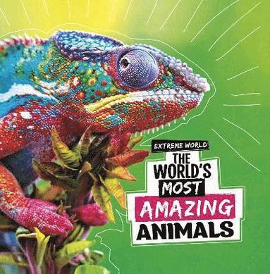bokomslag World's Most Amazing Animals