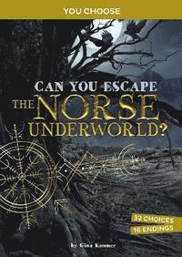 bokomslag Can You Escape the Norse Underworld?
