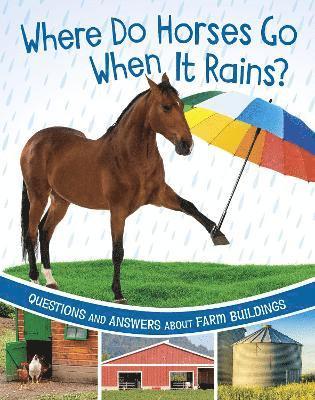 Where Do Horses Go When It Rains? 1