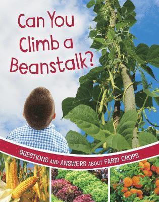 bokomslag Can You Climb a Beanstalk?