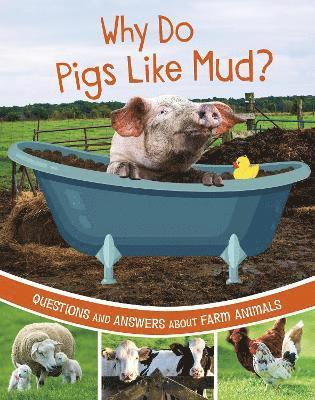 Katherine Rawson - Why Do Pigs Like Mud?, Häftad