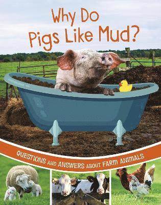 Why Do Pigs Like Mud? 1