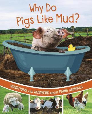 Why Do Pigs Like Mud? 1