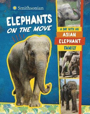Elephants on the Move 1